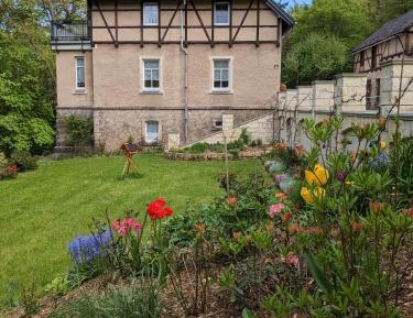 Apartment with Garden View