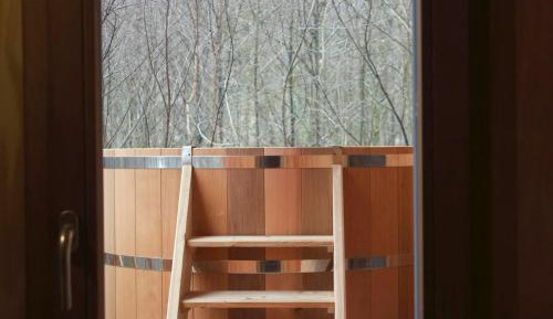 Cabane 2 Chambres - bain scandinave