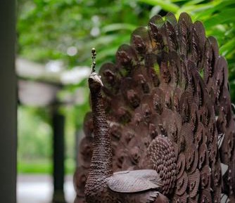 Premium room with Balcony with One way Airport Transfer 