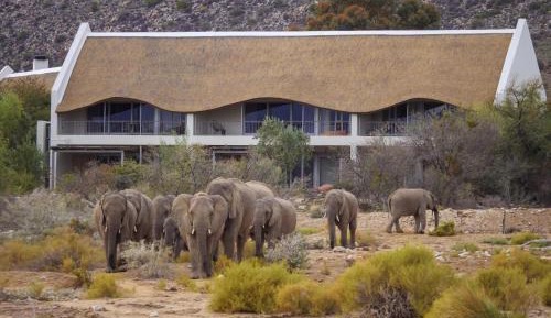 Gondwana Family Lodge Includes 2 Game Drives