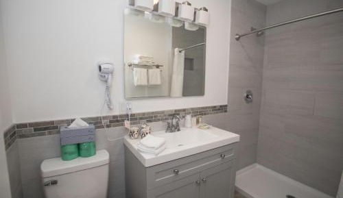 Deluxe Two-Bedroom Apartment