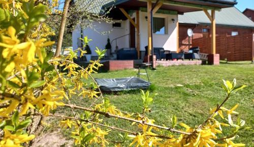 Family Bungalow