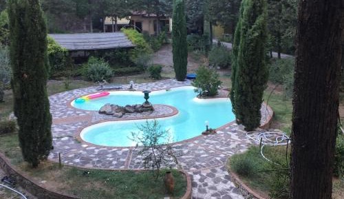 King Room with Pool View