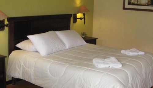 Large Single Room