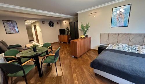 Studio Apartment with Balcony