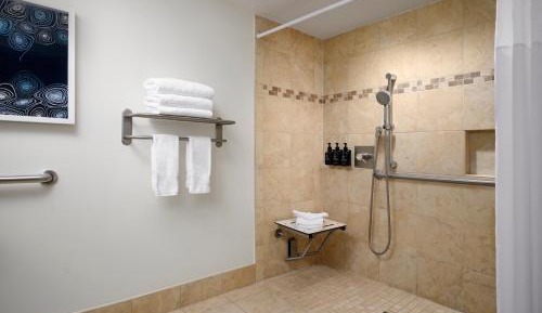 Standard King Room with Roll-In Shower - Communications Access