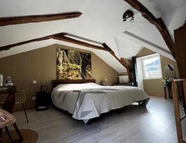 Double Room with Terrace
