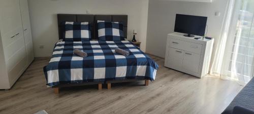 Studio with Sofa Bed