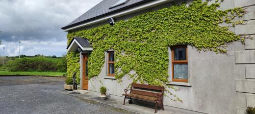 Apartment with Garden View