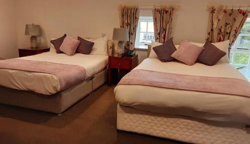 Courtyard Suite