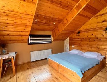 Double or Twin Room with Mountain View