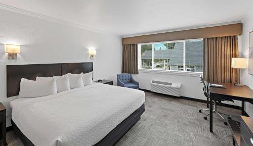 Deluxe King Room - Non-Smoking