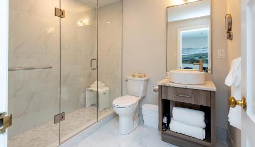 Deluxe King Suite