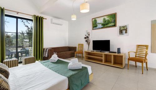 Superior One-Bedroom Apartment with Balcony