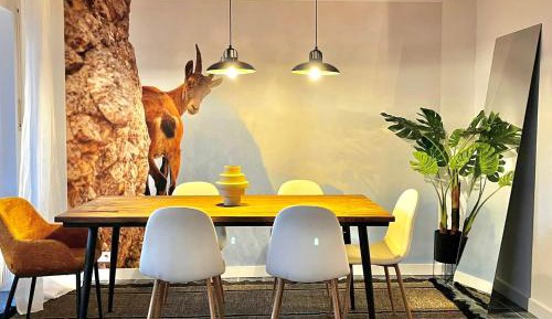 Duplex Apartment