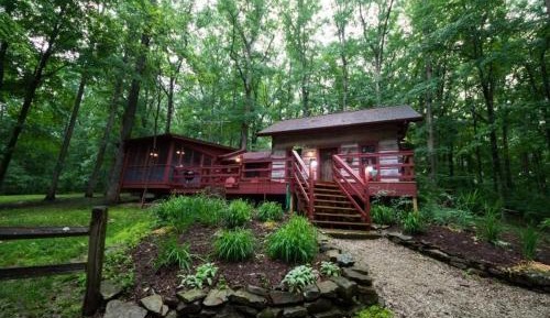 One-Bedroom Holiday Home