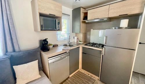 Mobile Home