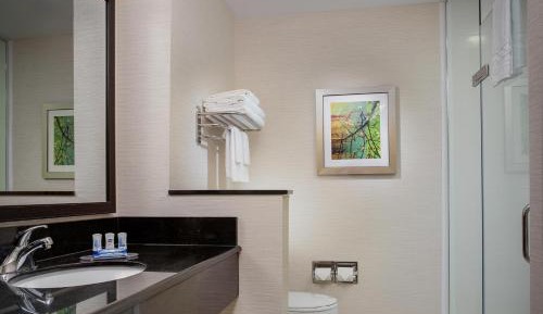 Suite, 1 King, Sofa bed