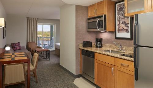 Studio Partial Lakeview, Studio, 1 Queen, Sofa bed