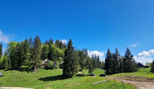 Chalet
