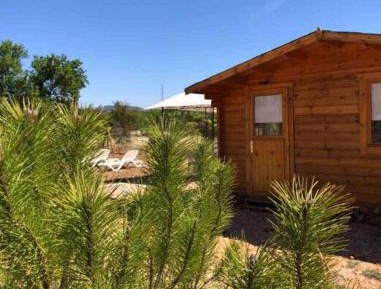 One-Bedroom Chalet