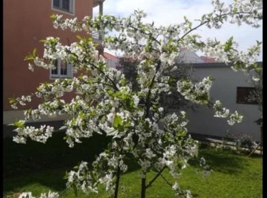 Deluxe Double Room with Balcony and Sea View
