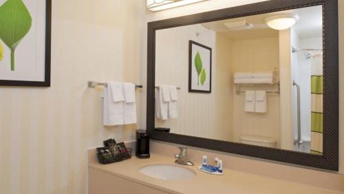 Double Room with Two Double Beds