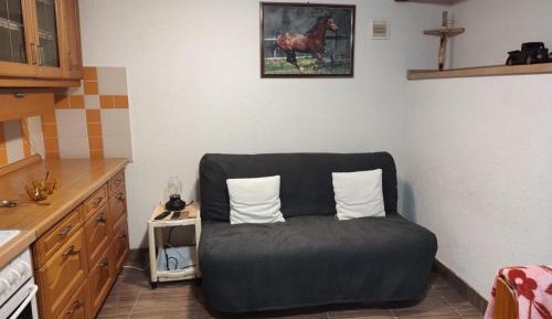 Studio with Sofa Bed