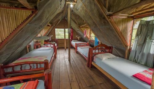 Single Bed in Mixed Dormitory Room