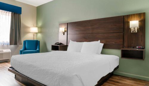 King Room with Walk-in Shower - Disability Access