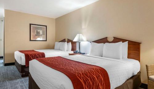 Queen Room with Two Queen Beds - Non Smoking