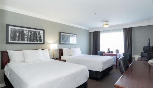 Standard Room, 2 Double Beds
