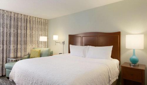 King Room with King Bed - Non-Smoking