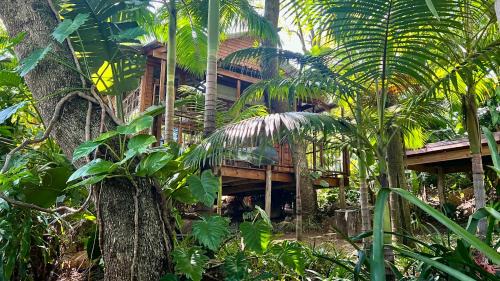Tree House