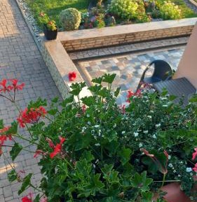 Standard Double or Twin Room with Balcony