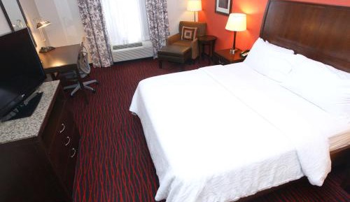 Evolution King Room