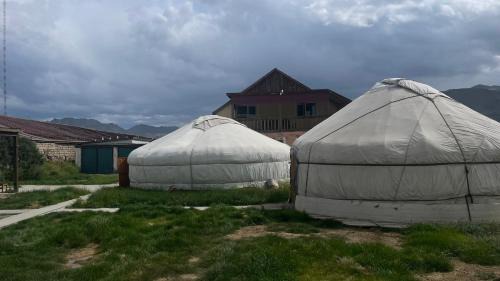 6-Bed Mixed Dormitory Room