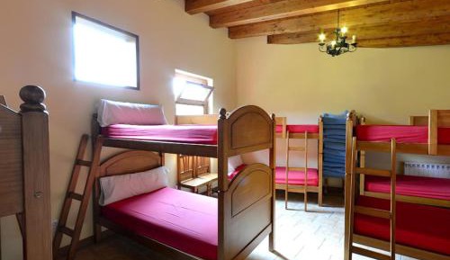 Bunk Bed in Mixed Dormitory Room