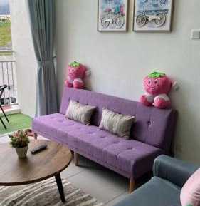 Penthouse Apartment