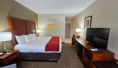 King Room - Non-Smoking