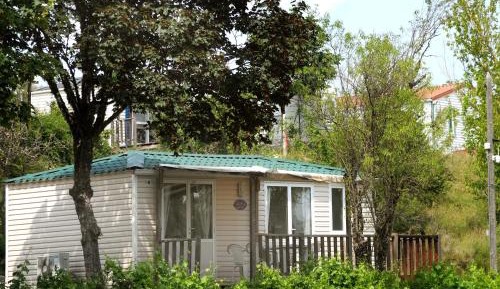 Mobile Home