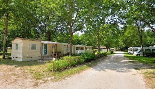 Mobile Home