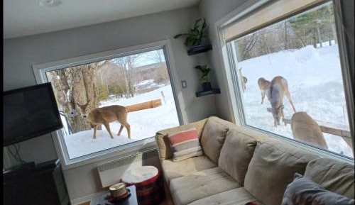 Three-Bedroom Chalet