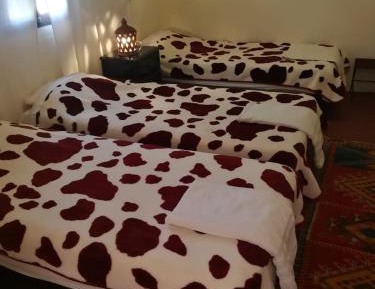 Classic Quadruple Room