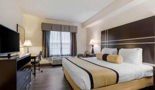 King Room with Roll-In Shower - Disability Access