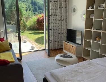 One-Bedroom Apartment with one Dining Room 