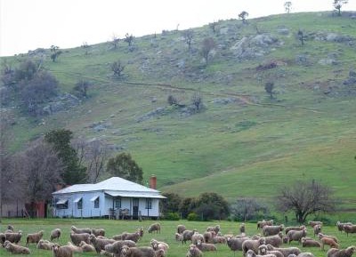 Daleys Cottage