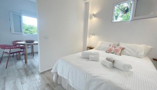 Studio with Garden View