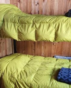 Bed in 6-Bed Dormitory Room