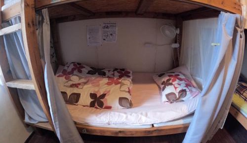 Bunk Bed in Female Dormitory Room  